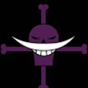 Meet your Posher, Cora